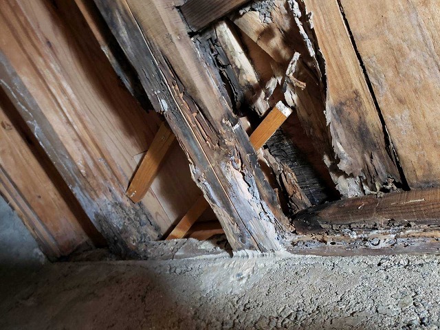 大阪市内の住宅、床下を点検